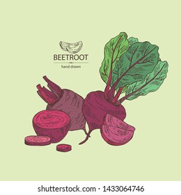 Backgroumd with beet: full beetroot and piece of beet. Vector hand drawn illustration 