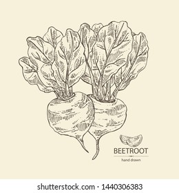 Backgroumd with beet: full beetroot and piece of beet. Vector hand drawn illustration 