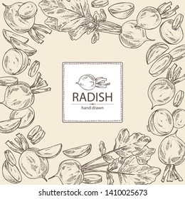 Backgroumd with radish: full radish and slices. Vector hand drawn illustration