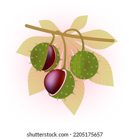 Hintergrund. 3 Kastanien auf einem Ast. Vektorgrafik.