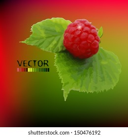 background about raspberry leaves