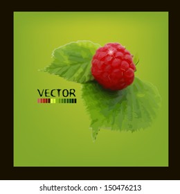 background about raspberry leaves