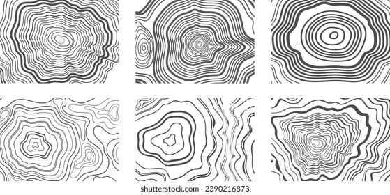 Background of abstract growth rings of a tree.Line design of a timber stump.Tree cut pattern.Wooden organic slice line creation.Vector topographic map concept.