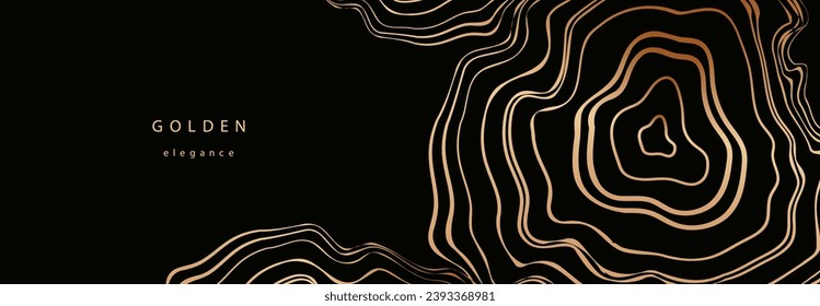 Background of abstract growth rings of a tree.Line design of a wooden stump.Tree cut pattern.Vector topographic map concept. 