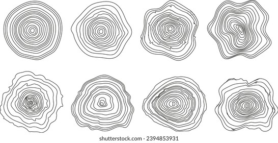 Background of abstract growth rings of a tree.Line design of a timber stump.Tree cut pattern.Wooden organic slice line creation.Vector topographic map concept.