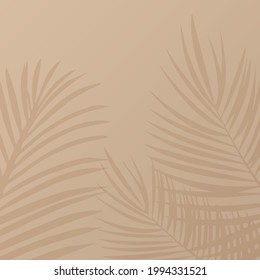 Background abstract palm tree shadow vector illustration