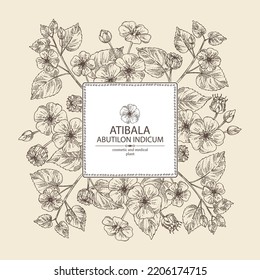 Background with abutilon indicum: abutilon indicum plant, leaves and atibala flowers. Atibala. Cosmetic, perfumery and medical plant. Vector hand drawn illustration