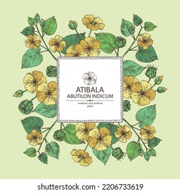 Background with abutilon indicum: abutilon indicum plant, leaves and atibala flowers. Atibala. Cosmetic, perfumery and medical plant. Vector hand drawn illustration