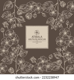 Background with abutilon indicum: abutilon indicum plant, leaves and atibala flowers. Atibala. Cosmetic, perfumery and medical plant. Vector hand drawn illustration