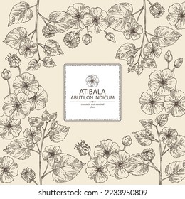 Background with abutilon indicum: abutilon indicum plant, leaves and atibala flowers. Atibala. Cosmetic, perfumery and medical plant. Vector hand drawn illustration