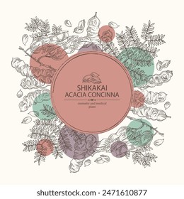 Background with acacia concinna: shikakai plant, leaves and acacia concinna bean. Shikakai. Cosmetic, perfumery and medical plant. Vector hand drawn illustration