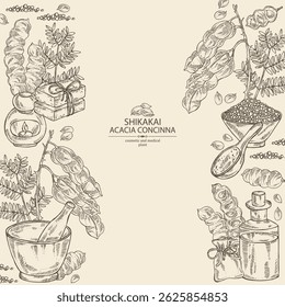 Background with acacia concinna: shikakai plant, leaves and acacia concinna bean. Shikakai. Oil, soap and bath salt . Cosmetics and medical plant. Vector hand drawn