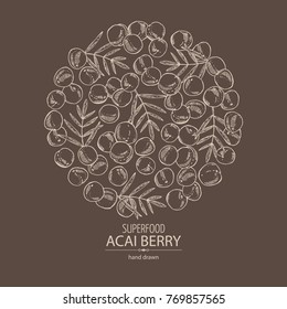 Background with acai berries and acai palm. Superfood. Vector hand drawn illustration