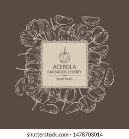 Background with acerola: fruit, leaves and acerola slice. Barbados cherry. Vector hand drawn illustration
