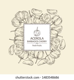 Background with acerola: fruit, leaves and acerola slice. Barbados cherry. Vector hand drawn illustration