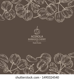 Background with acerola: fruit, leaves and acerola slice. Barbados cherry. Vector hand drawn illustration