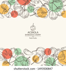Background with acerola: fruit, leaves and acerola slice. Barbados cherry. Vector hand drawn illustration
