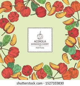 Background with acerola: fruit, leaves and acerola slice. Barbados cherry. Vector hand drawn illustration