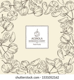 Background with acerola: fruit, leaves and acerola slice. Barbados cherry. Vector hand drawn illustration