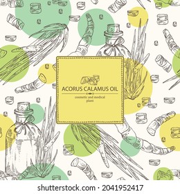 Background with acorus calamus: plant, leaves and root of calamus and bottle of acorus calamus essential oil. Cosmetic, perfumery and medical plant. Vector hand drawn illustration.