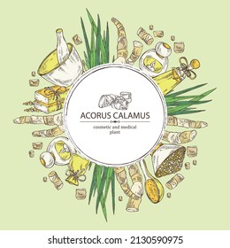 Background with acorus calamus: plant, leaves and root of acorus calamus. Oil, soap and bath salt . Cosmetics and medical plant. Vector hand drawn illustration
