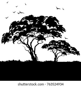 Background african landscape. Black silhouette of african trees. Vector illustration.