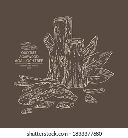 Background Agar Wood: Oud Tree, Leaves And Pice Of Agar Wood. Agalloch Tree. Perfumery, Cosmetics And Medical Plant. Vector Hand Drawn Illustration