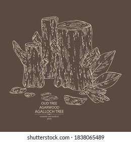 Background agar wood: oud tree, leaves and pice of agar wood. Agalloch tree. Perfumery, cosmetics and medical plant. Vector hand drawn illustration