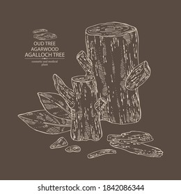 Background agar wood: oud tree, leaves and pice of agar wood. Agalloch tree. Perfumery, cosmetics and medical plant. Vector hand drawn illustration