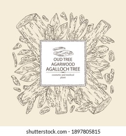 Background agar wood: oud tree, leaves and pice of agar wood. Agalloch tree. Perfumery, cosmetics and medical plant. Vector hand drawn illustration