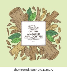 Background agar wood: oud tree, leaves and pice of agar wood. Agalloch tree. Perfumery, cosmetics and medical plant. Vector hand drawn illustration