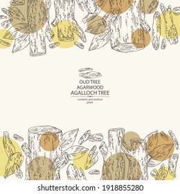 Madera agar de fondo: árbol alto, hojas y trozo de madera de agar. Árbol de agalloch. Perfumería, cosméticos y plantas médicas. Ilustración dibujada a mano por el vector