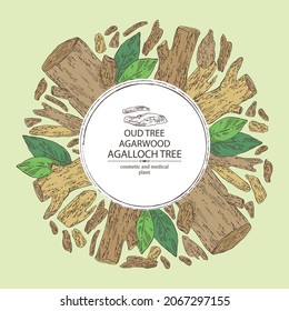 Background Agar Wood: Oud Tree, Leaves And Piece Of Agar Wood. Agalloch Tree. Perfumery, Cosmetics And Medical Plant. Vector Hand Drawn Illustration