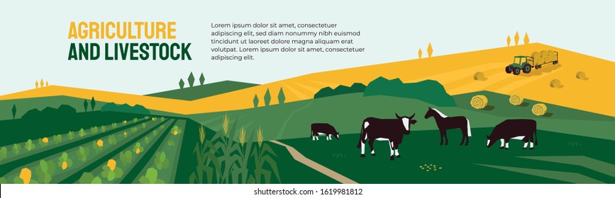 Background for agriculture or livestock company. Vector illustration of farm land, cows and horse in pasture, tractor on hayfield. Corn field, farming in countryside. Template for banner, print, flyer