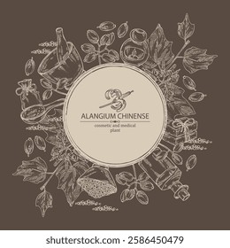 Background with alangium chinense: alangium plant, leaves, alangium chinense flowers and berries. Oil, soap and bath salt . Cosmetics and medical plant. Vector hand drawn