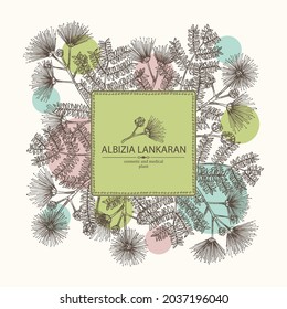 Background with albizia lankaran: plant, leaves and albizia lankaran flowers. Albizia julibrissin. Cosmetic, perfumery and medical plant. Vector hand drawn illustration