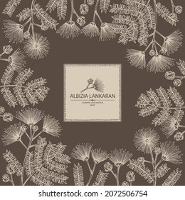 Background with albizia lankaran: plant, leaves and albizia lankaran flowers. Albizia julibrissin. Cosmetic, perfumery and medical plant. Vector hand drawn illustration