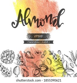 Hintergrund mit Mandelkerneln von Nüssen und einem Ast von Mandeln mit Nüssen, Früchten, Blumensand und Mandeln . Detaillierte handgezeichnete Skizzen, Vektorbotanische Illustration.