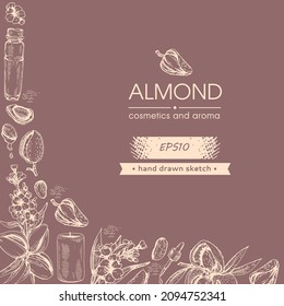 Background with almond nuts, flowers, essential oils and cosmetics. Detailed hand-drawn sketch, vector botanical and object illustration.