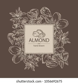 Background With Almond: Almond Nuts, Fruits, Flower And Leaves. Vector Hand Drawn Illustration.