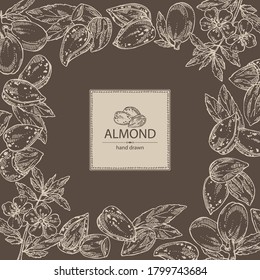 Background with almond: almond nuts, fruits, flower and leaves. Vector hand drawn illustration.