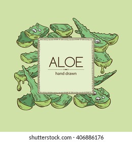 Background with aloe. hand drawn