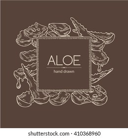 Background with aloe. hand drawn