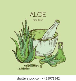 Background with aloe. hand drawn