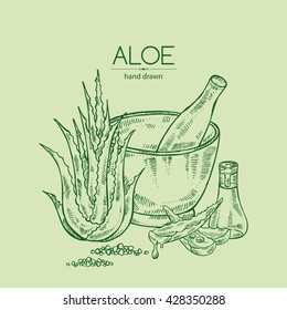 Background with aloe. hand drawn