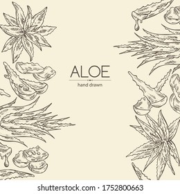 Background with  aloe vera. Cosmetics and medical plant. Vector hand drawn illustration.