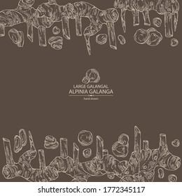 Background with alpinia galanga: large galangal root and leaves. Vector hand drawn illustration.