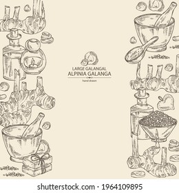Background with alpinia galanga: large galangal root and leaves.Oil, soap and bath salt . Cosmetics and medical plant. Vector hand drawn illustration
