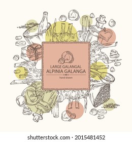 Background with alpinia galanga: large galangal root and leaves.Oil, soap and bath salt . Cosmetics and medical plant. Vector hand drawn illustration