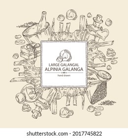 Background with alpinia galanga: large galangal root and leaves.Oil, soap and bath salt . Cosmetics and medical plant. Vector hand drawn illustration